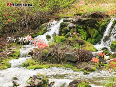 浅白観光自動車草津営業所(群馬県吾妻郡草津町大字草津23-13)